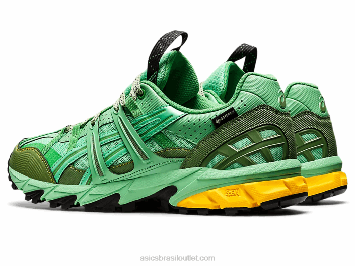 hs4-s gel-sonoma 15-50 gtx 462T1248 bouquet de primavera/grafite azul Asics