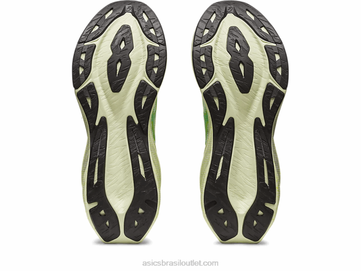 novablast 3 le 462T110 sussurro verde/coentro Asics