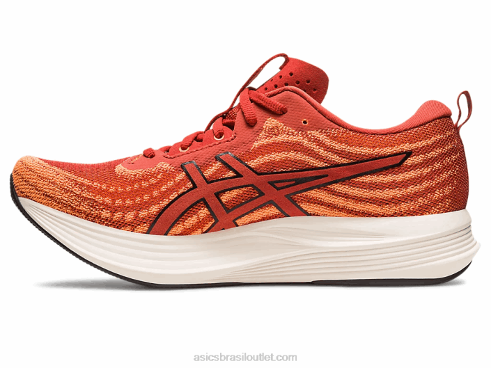 velocidade de evolução 462T501 latte de especiarias/preto Asics