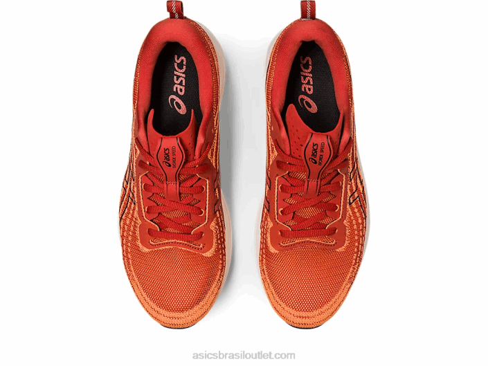 velocidade de evolução 462T501 latte de especiarias/preto Asics