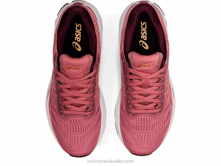 gt-xpress 2 462T2609 rosa esfumado/bronze puro Asics