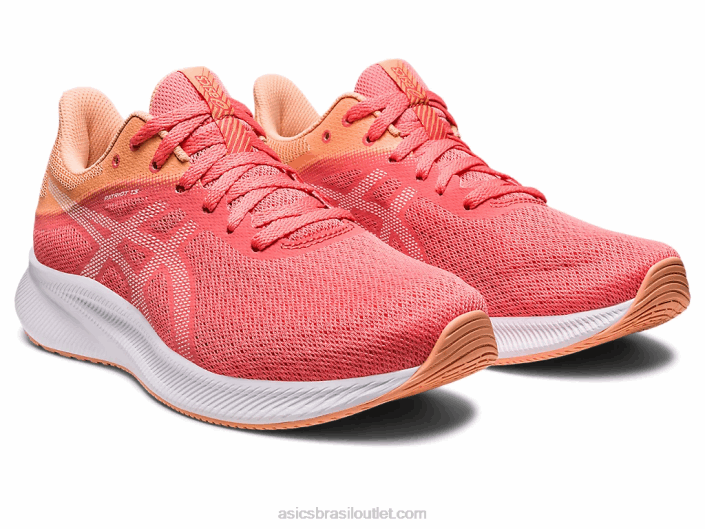 patriota 13 462T2583 mamão/branco Asics