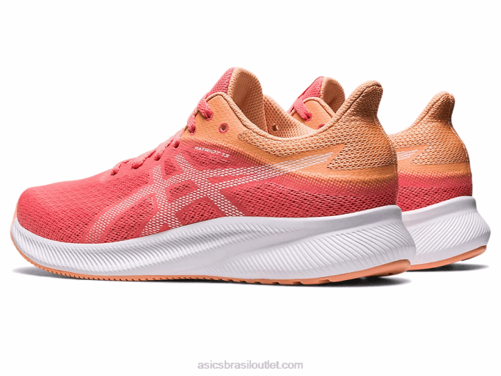 patriota 13 462T2583 mamão/branco Asics