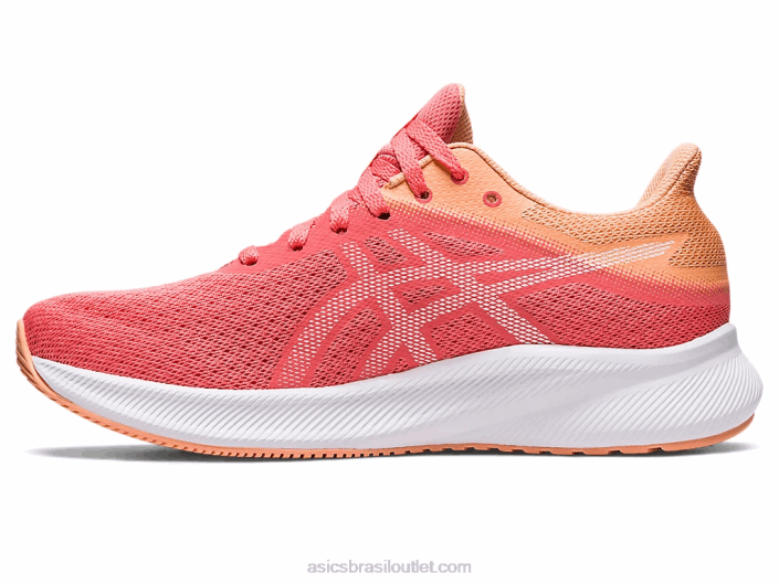 patriota 13 462T2583 mamão/branco Asics